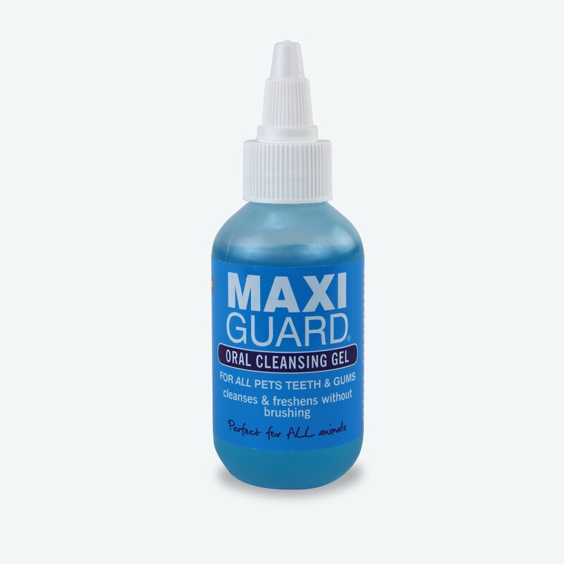 Maxiguard Oral Cleansing Gel / tandhälsa hund, katt mm