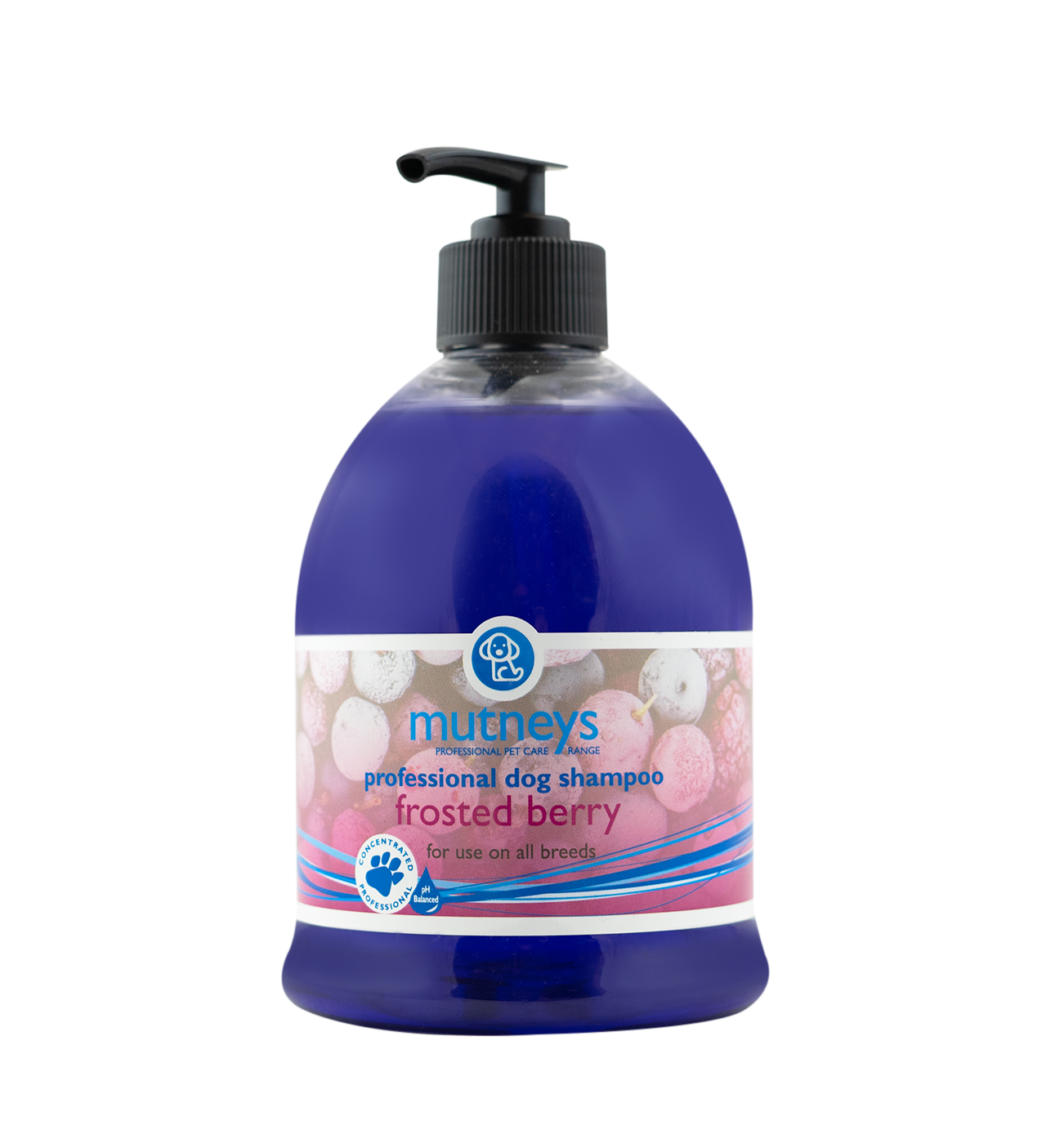 500ml-Frosted-Berry-Shampoo.