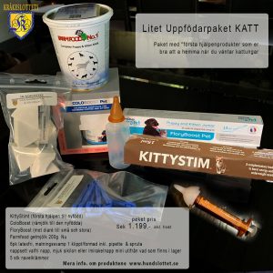 litet uppfödarpaket katt