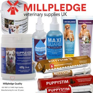 Millpledge puppystim