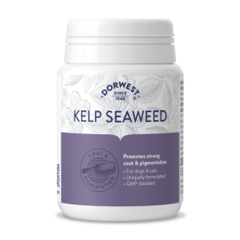 Dorwest Kelp Seaweed