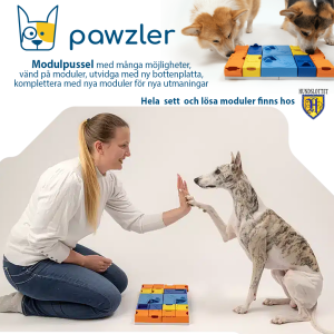 Pawzler aktivitets leksak hund