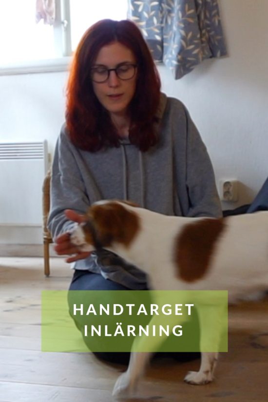 HANDTARGET INLÄRNING