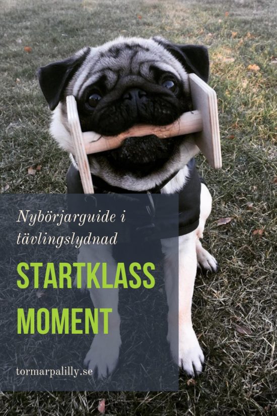 startklass moment