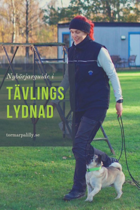 tävlingslydnad