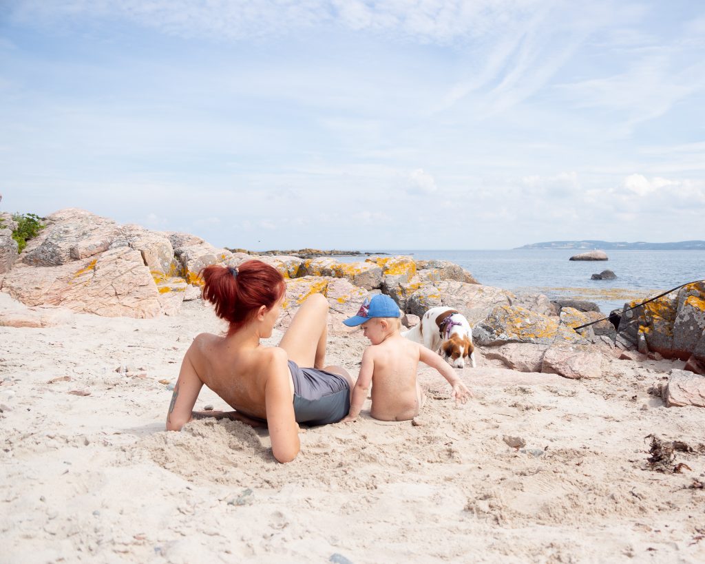 hallands väderö hund