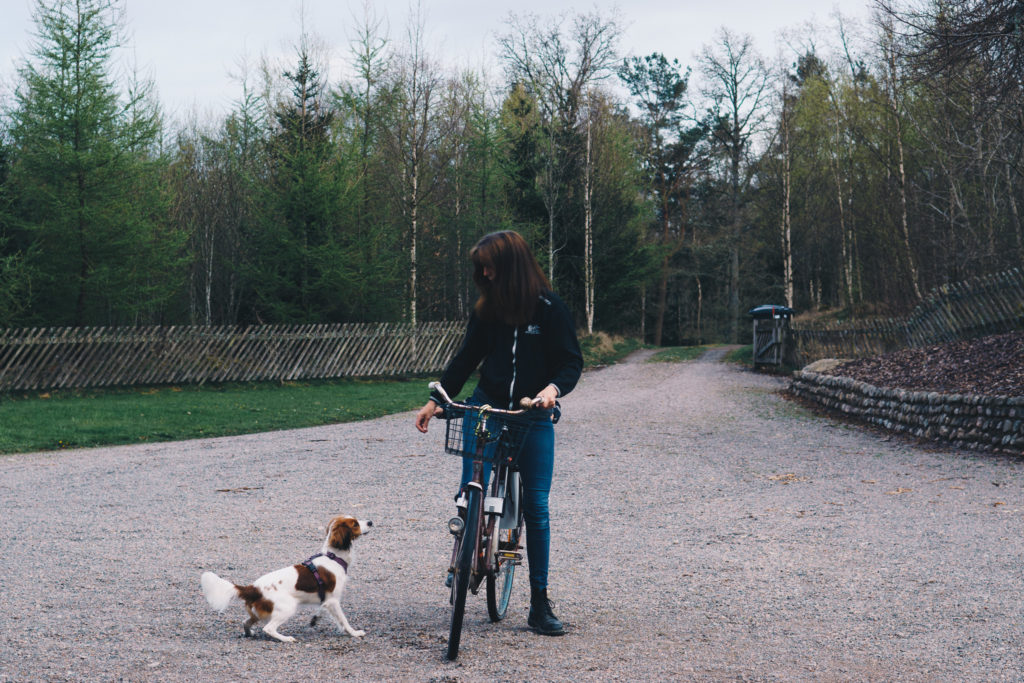 cykla med hund