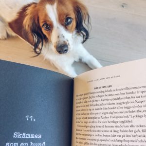 hunden som skäms recension