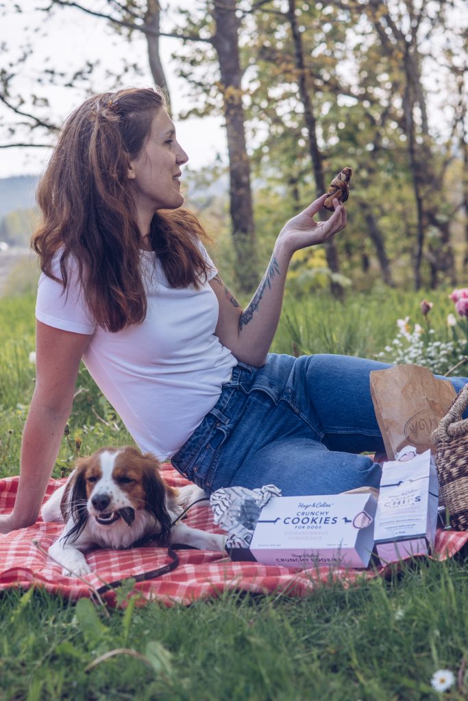 picknick med hund