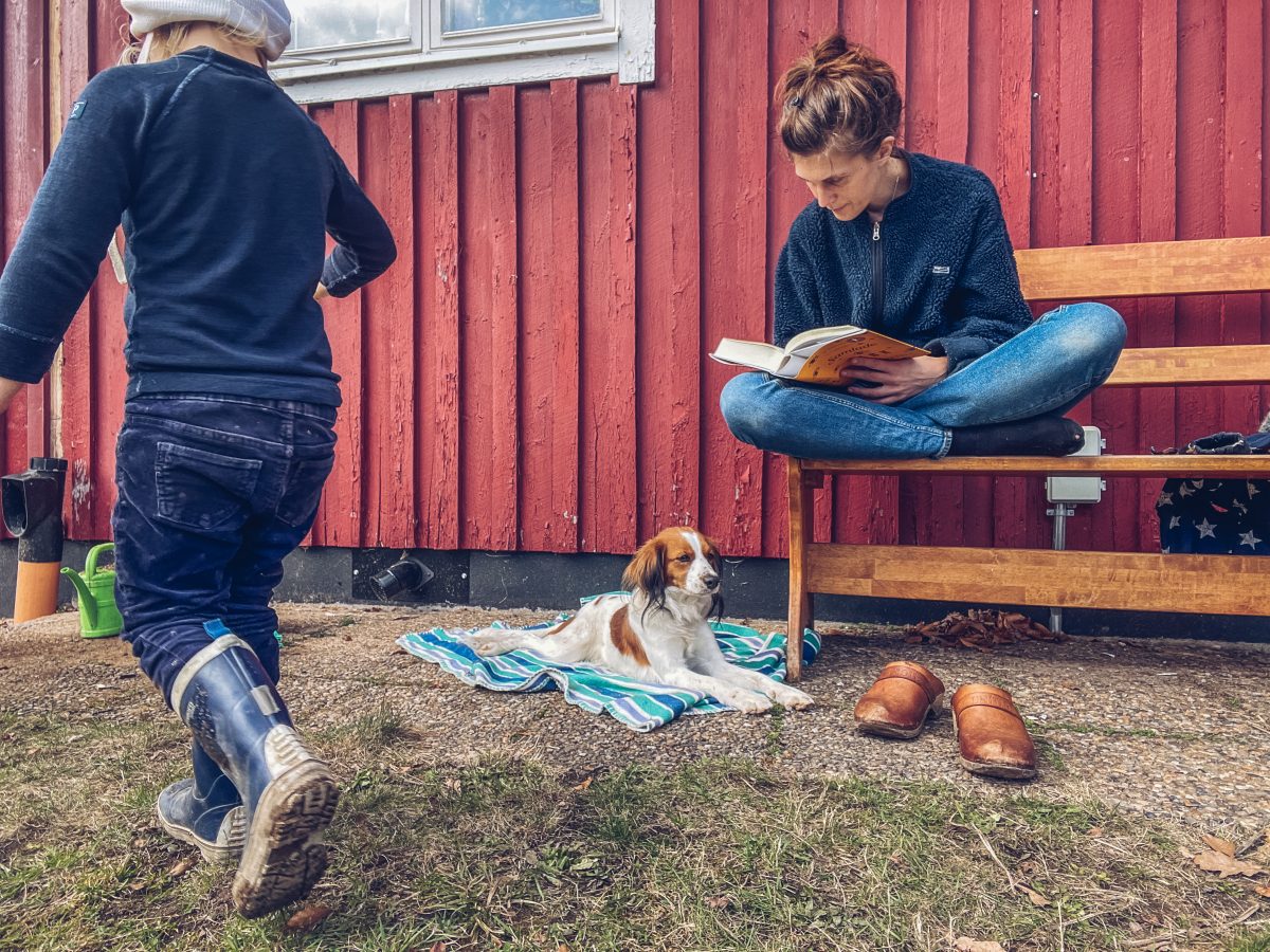 hund morrar på barn