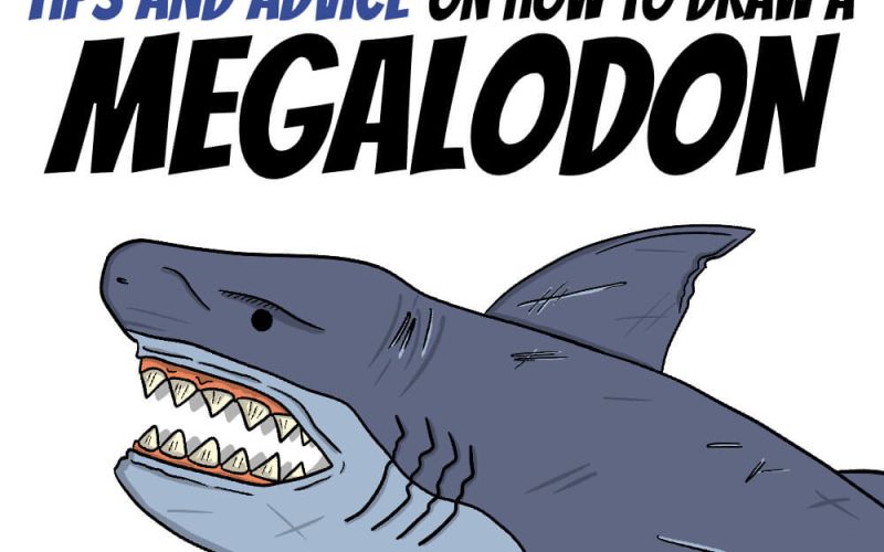 How to draw a Megalodon