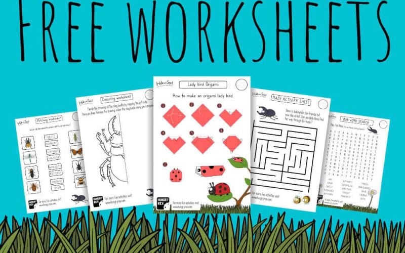 Free worksheets for kids who love bugs
