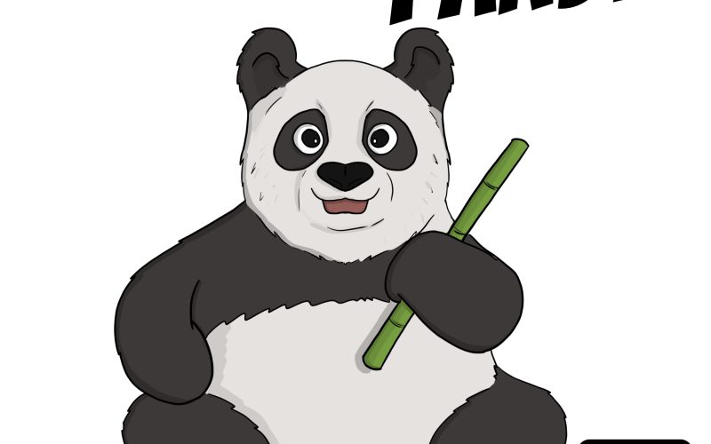 Tips and advice on how to draw a panda