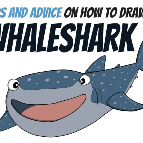 How to draw a whale shark
