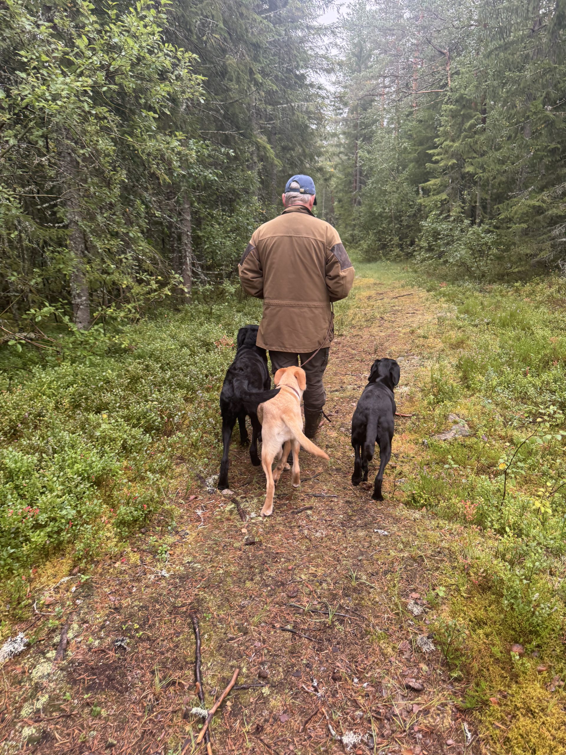 Du och jag – om turer, valper og den gode følelsen av å gå sammen.