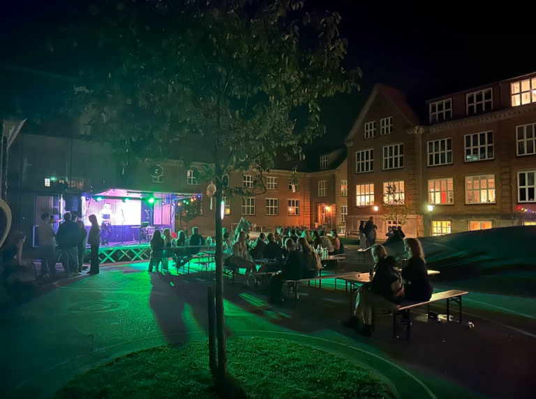 Mosaik Festival Aften