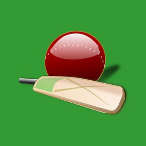 Cricket Bat and Ball Cricket Bat and Ball