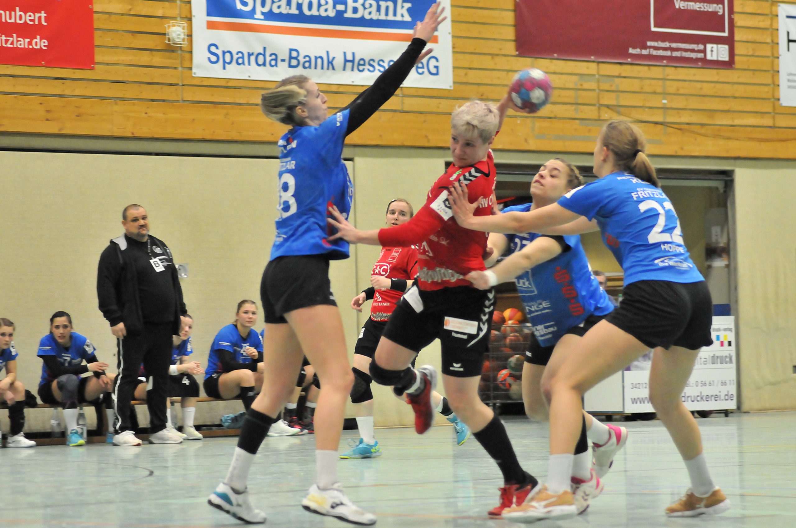 Hv Chemnitz E V Offizielle Webseite Des Handballverein Chemnitz