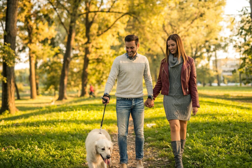 Hvor ofte skal en hund luftes?