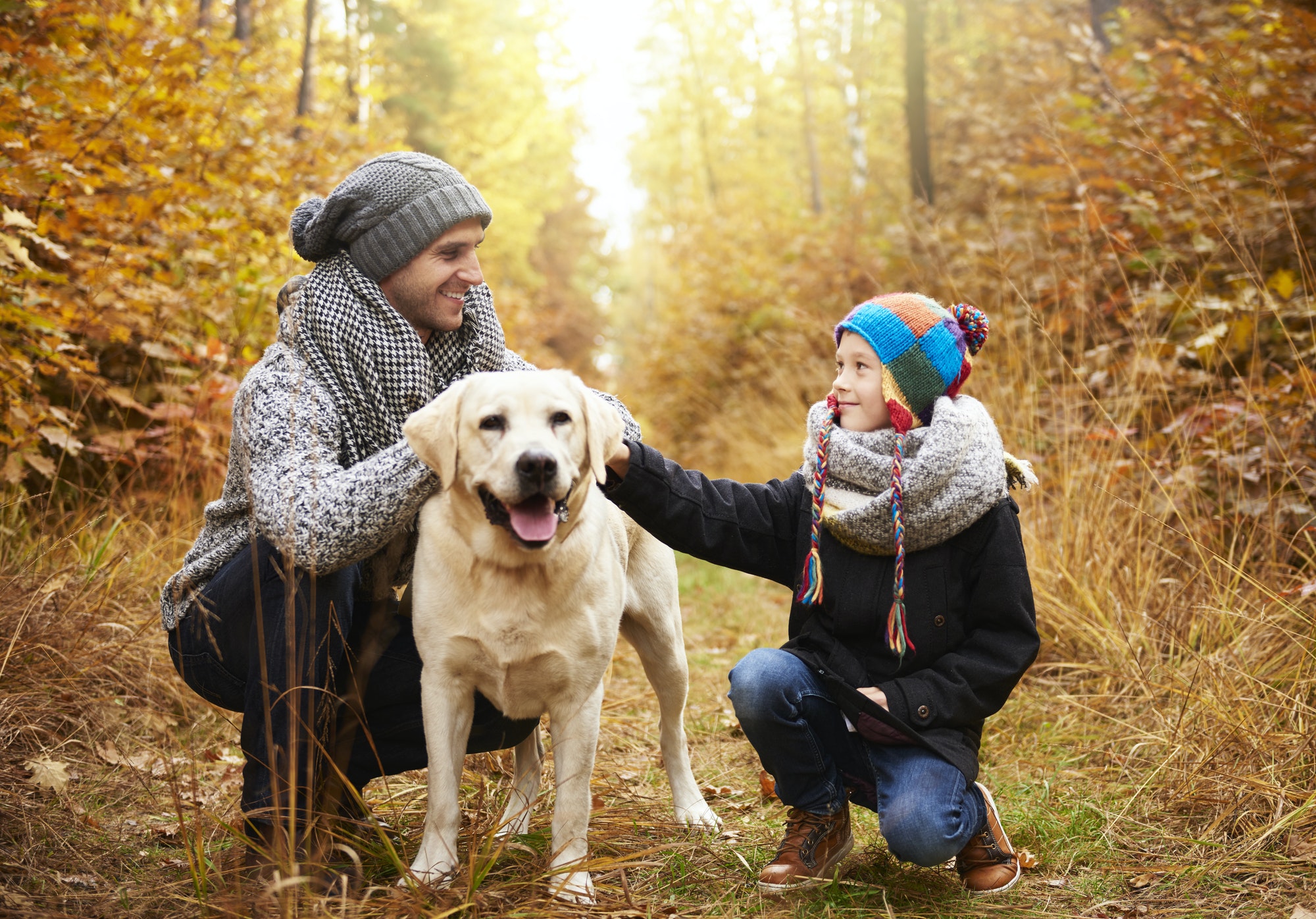 Hvor ofte skal en hund luftes - HvadHvorHvordan