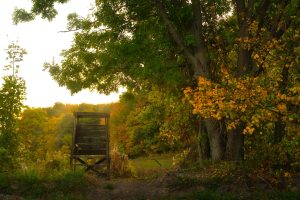 Wooden hunting hide in the woods, beautiful autumn forest - hunting season