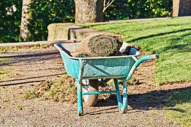 Stack of rolled grass sod for lawns and gardening in green garden wheelbarrow outside