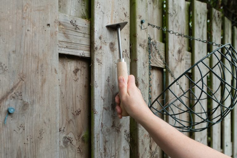 Hand Cleaning Mold Off Wooden Fence