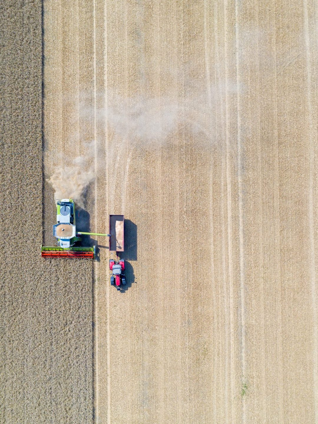 Combine harvester and a tractor harvesting the wheat on a field, Jutland, Denmark.