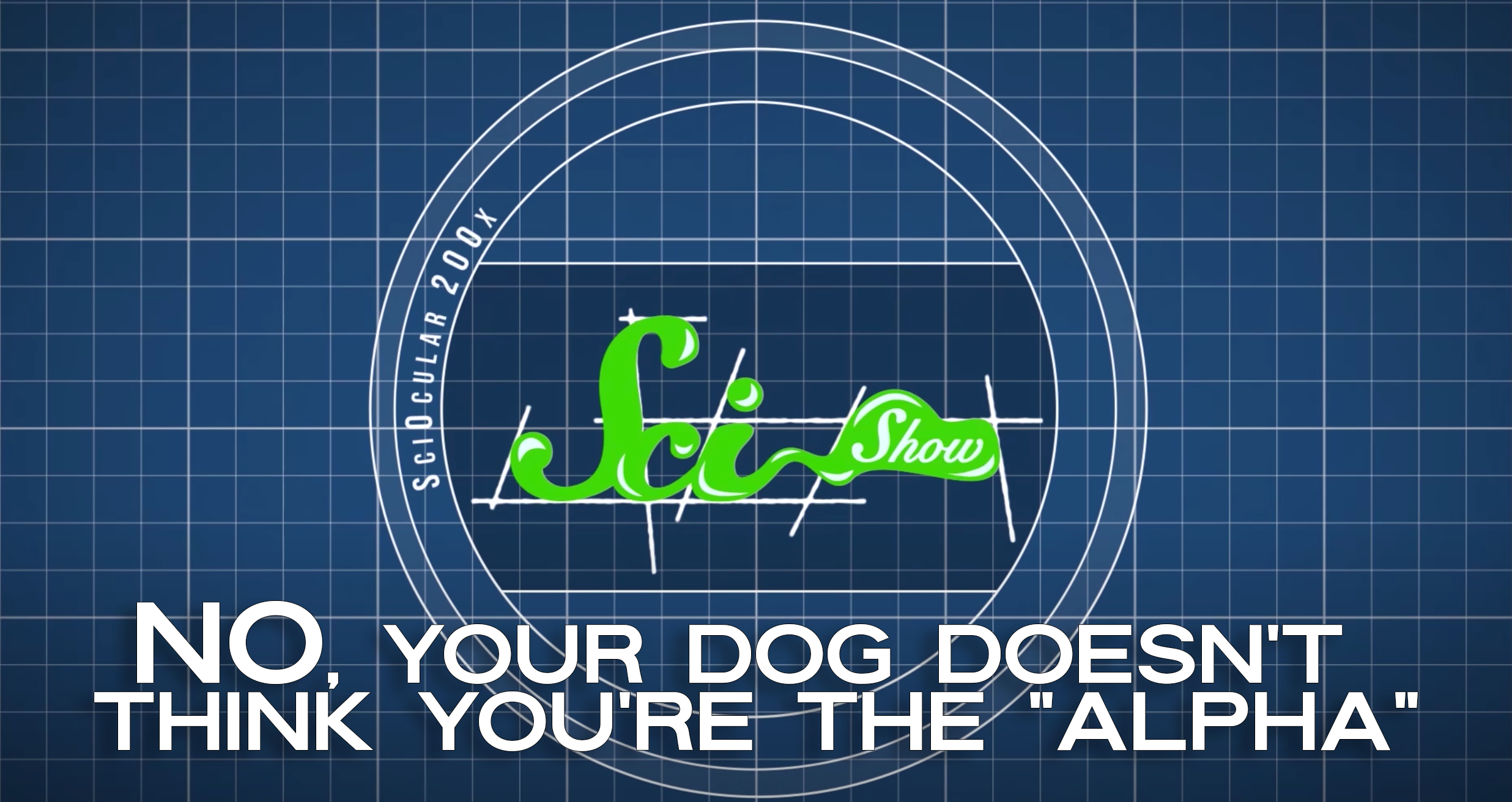 No, Your Dog Doesn't Think You're the "Alpha"