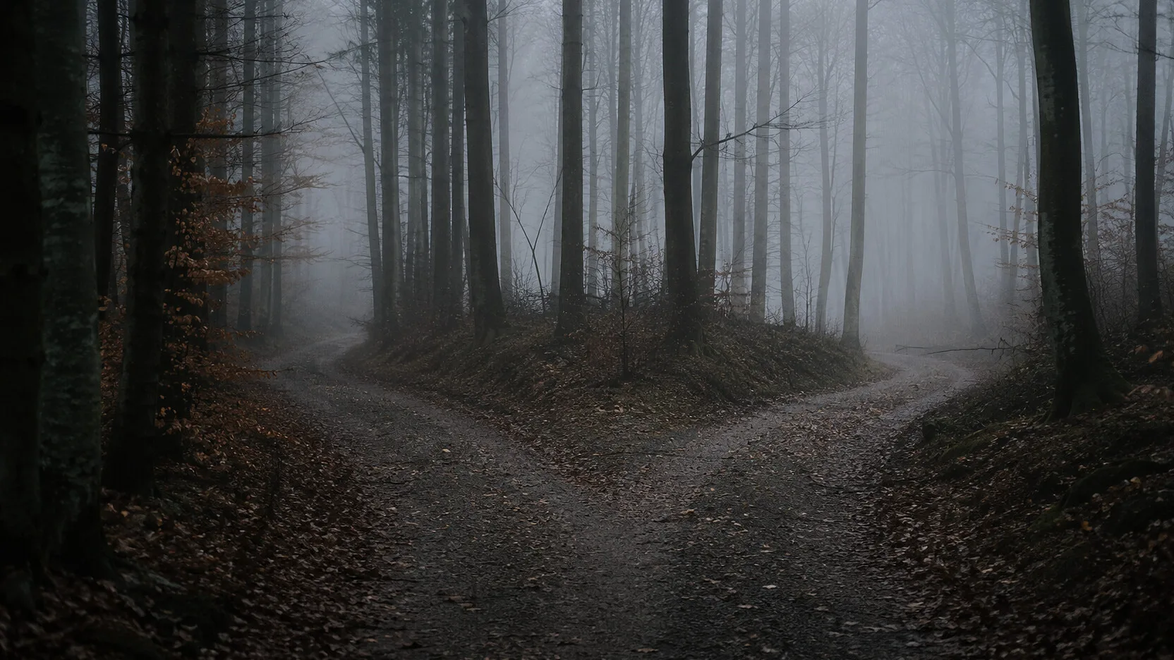 A forest path that forks: choice and direction in a change