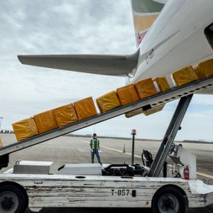 A cargo flight containing over 6 million medical items including face masks, test kits, face shields and protective suits arrives in the capital Addis Ababa, Ethiopia Sunday, March 22, 2020. The supplies arriving from Guangzhou, China for fighting the spread in Africa of the COVID-19 coronavirus were donated by the Jack Ma Foundation and Alibaba Foundation and will be distributed from Ethiopia to countries throughout Africa. (AP Photo/Mulugeta Ayene)