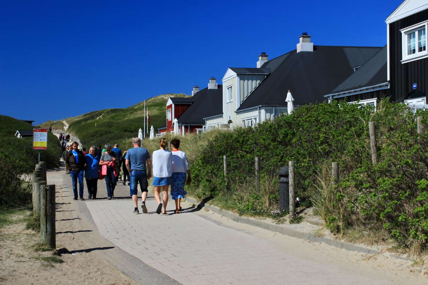 IMG_6227