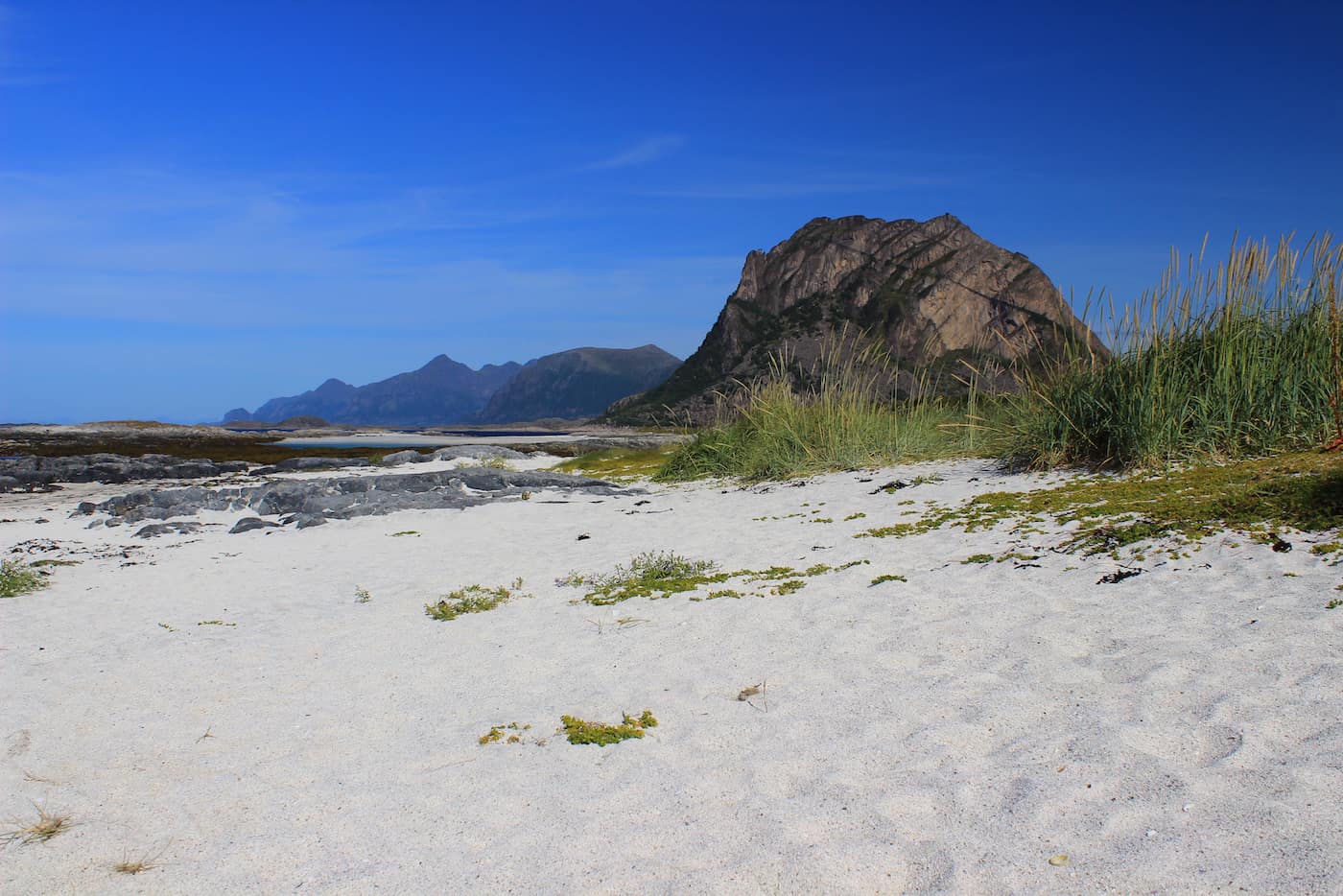 IMG_8394