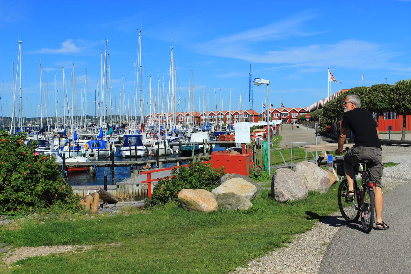 IMG_2604