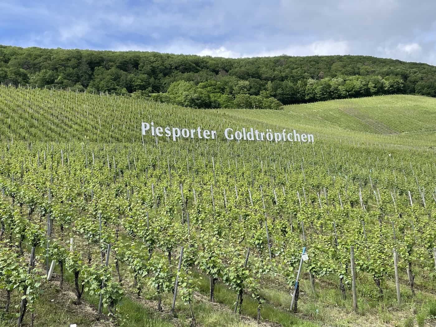 IMG_8103