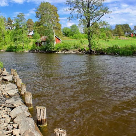 VINDSTILLE OG REGN I ØSTERDALEN