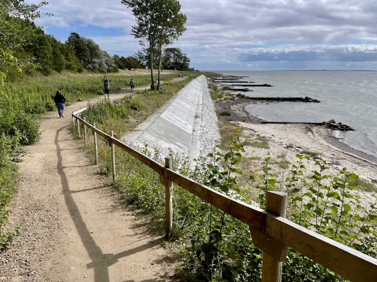 IMG_8646