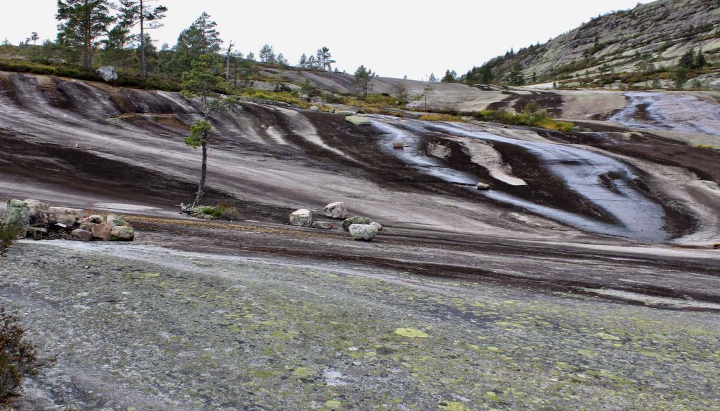 IMG_9291 De tydelige og særpregede stripene var godt synlige nedover de blankskurte svabergene
