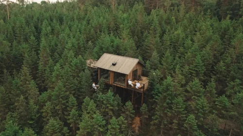 Treetop Cabin