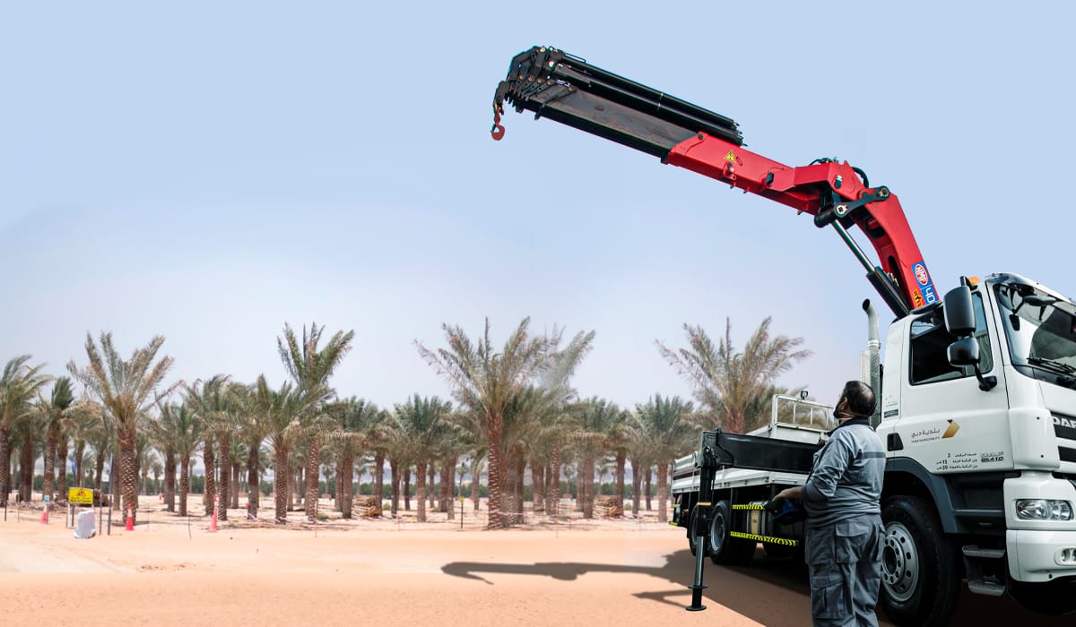 HMF truck mounted cranes