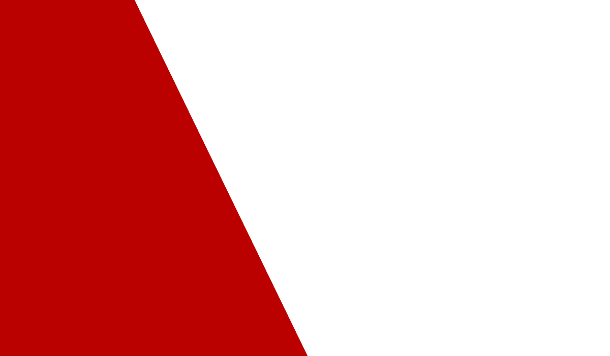 bg1