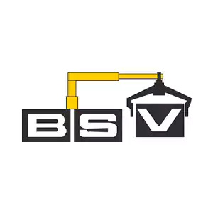 BSV