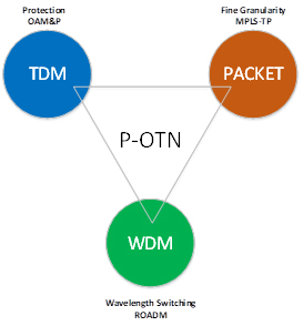 a Packet Transport Network (PTN). A PTN is a network infrastructure designed to efficiently transport multiple types of data traffic, including voice, data, and video, over a single network.