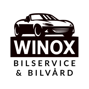 logo 13