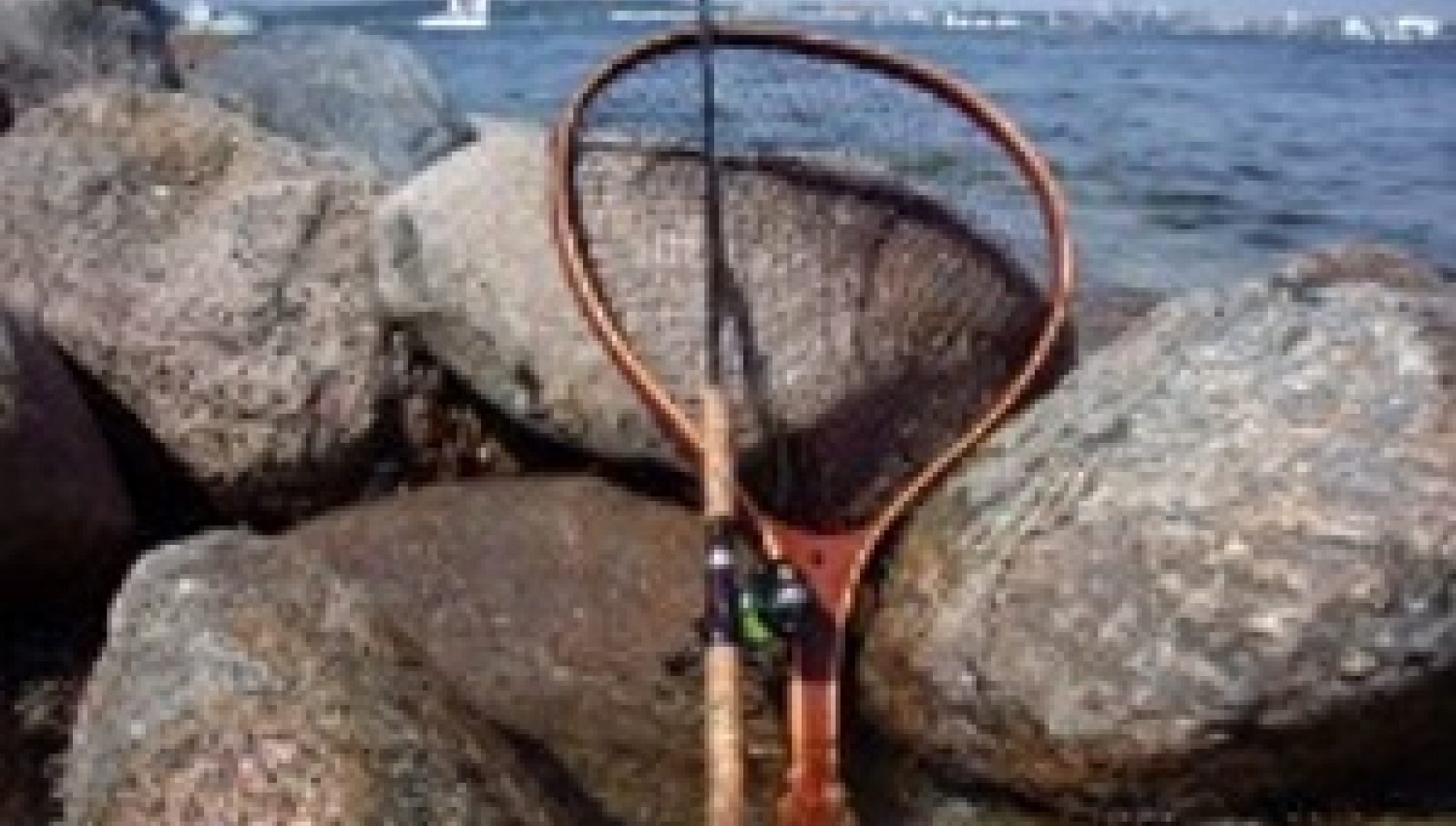 Link 1