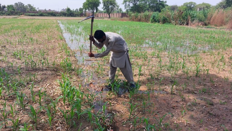 ICSIS Agricultural Project, Pakistan