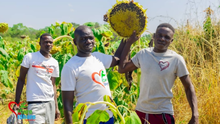 Sunflower Seeds Project, Zimbabwe