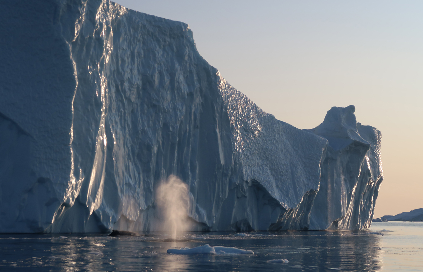 IceCap Explore: Luxury boat trips and excursions in Disko Bay, Ilulissat
