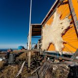 Polar bear skin outside one of the colorful houses in Ilimanaq. Photo by Henrik Møller Nielsen - Visit Greenland