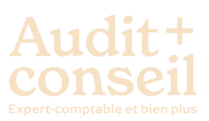 audit conseil logo beige e1742458376819